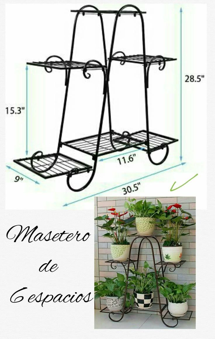 حامبل النباتات