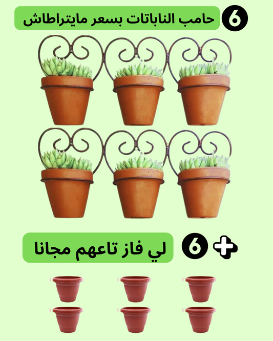 سبور فاز على شكل قلب