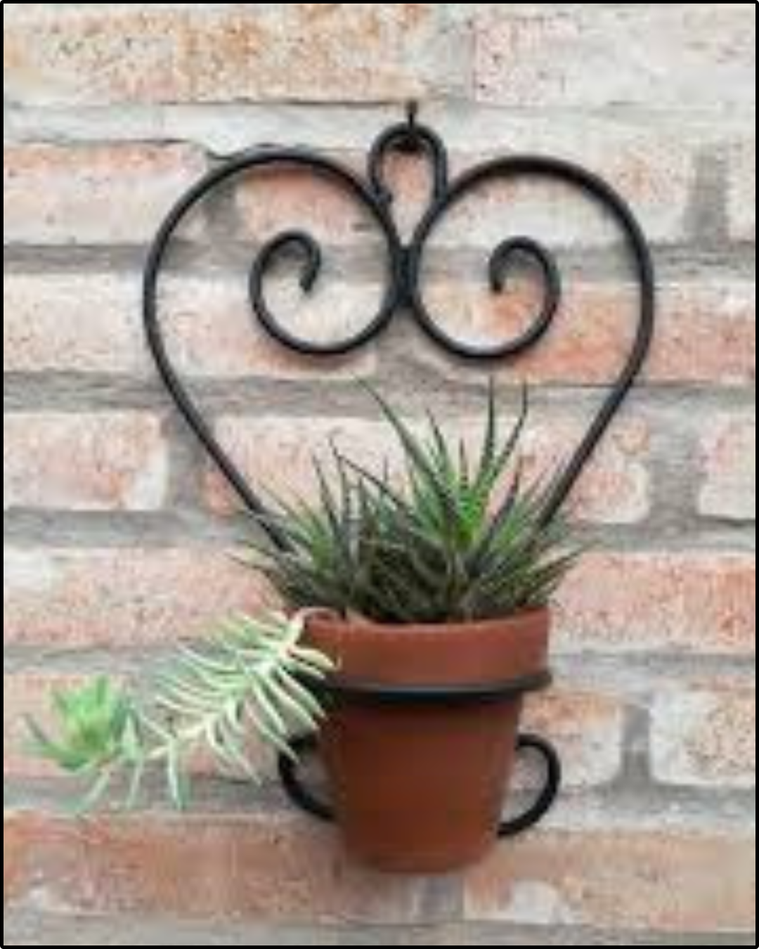 سيبور لي فاز