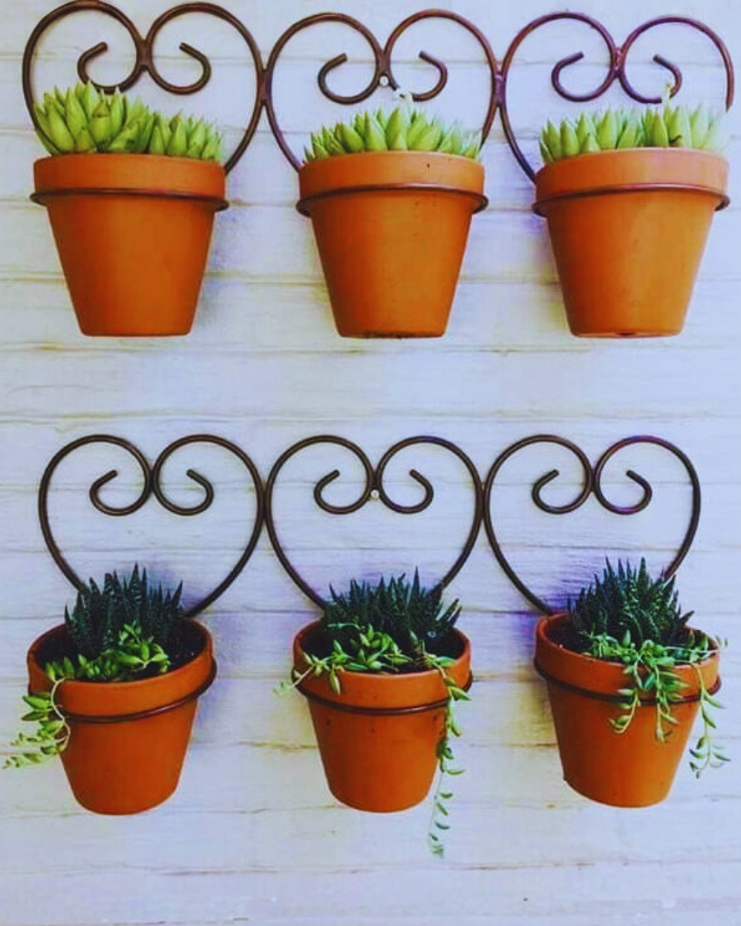 سيبور لي فاز