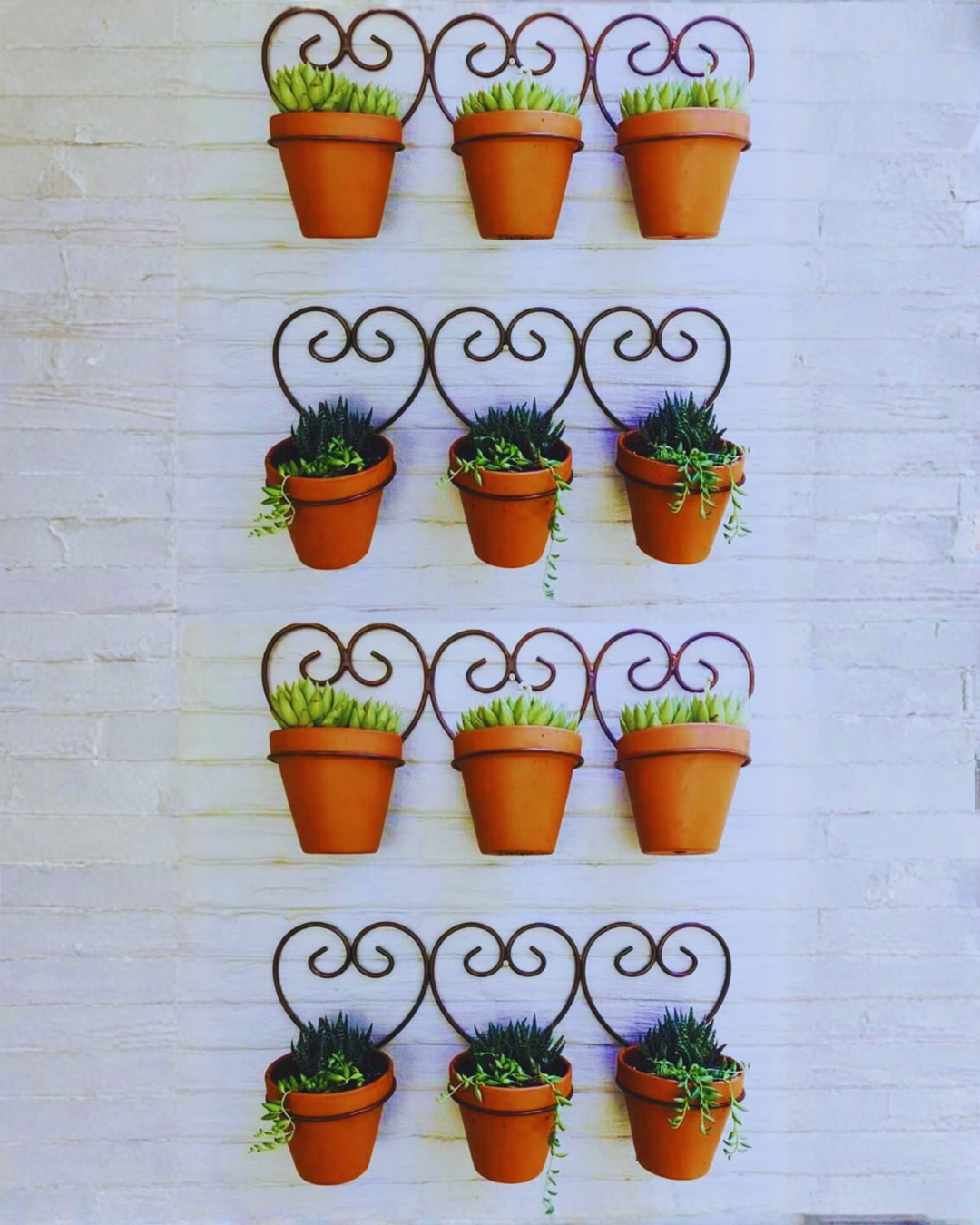 سيبور لي فاز